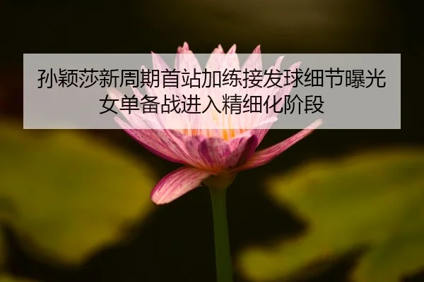 孙颖莎新周期首站加练接发球细节曝光 女单备战进入精细化阶段