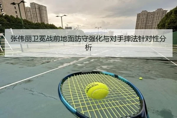 张伟丽卫冕战前地面防守强化与对手摔法针对性分析
