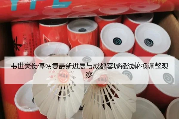 韦世豪伤停恢复最新进展与成都蓉城锋线轮换调整观察